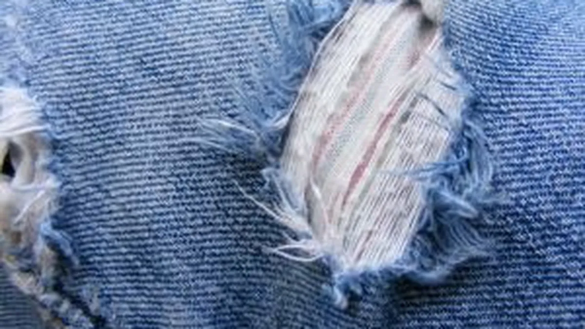 Vanzatorul unui bun cu defect trebuie sa il inlocuieasca sau sa suporte cheltuielile necesare