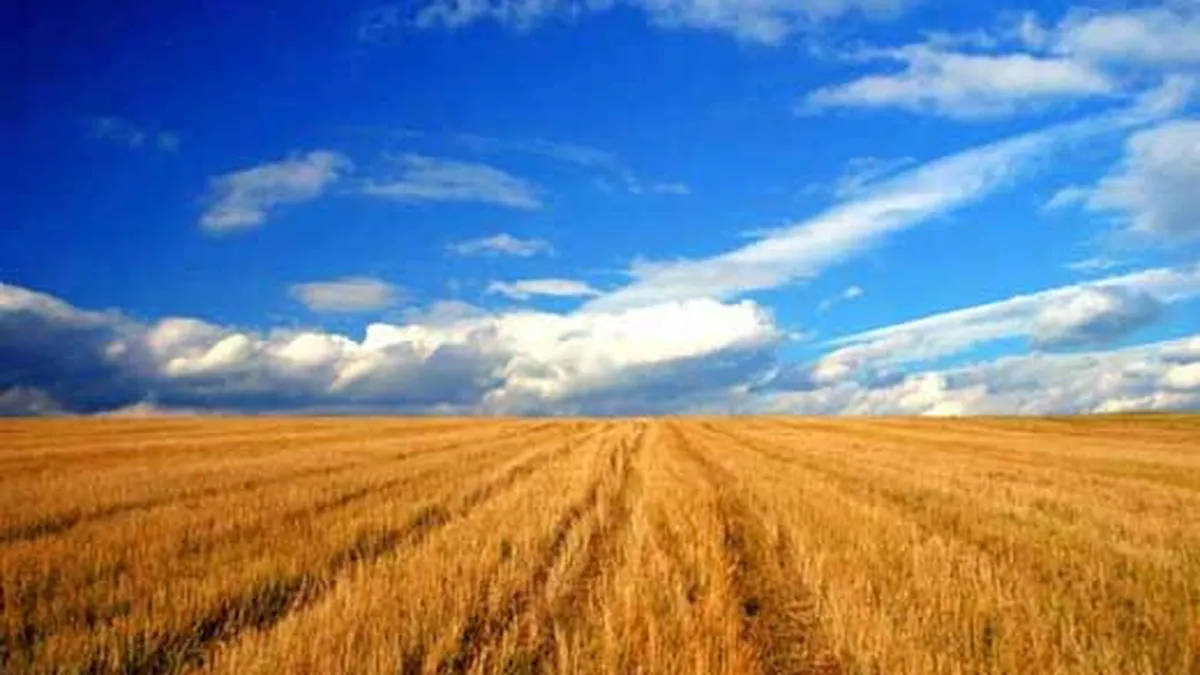 APIA a achitat aproape integral subventiile pentru agricultori. Vezi ce sume a platit