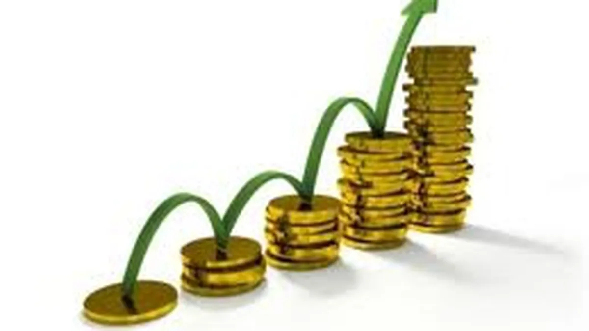 Companiile, din ce in ce mai mioape: Ce puncte slabe are strategia pe termen scurt