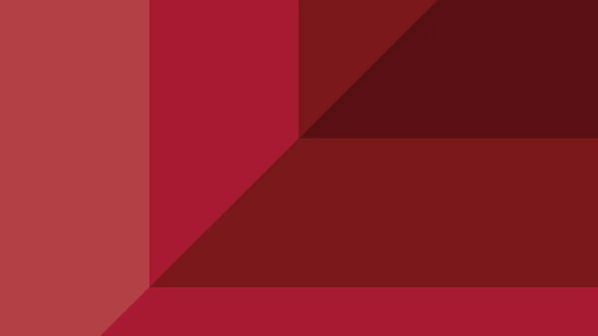 Rebranding de 40.000 euro pentru Finexpert