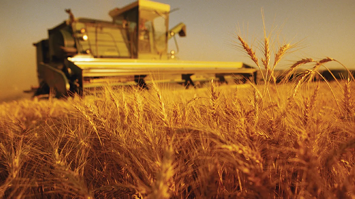 Producatori: Taxarea inversa a redus cu 70-80% vanzarile de cereale la negru