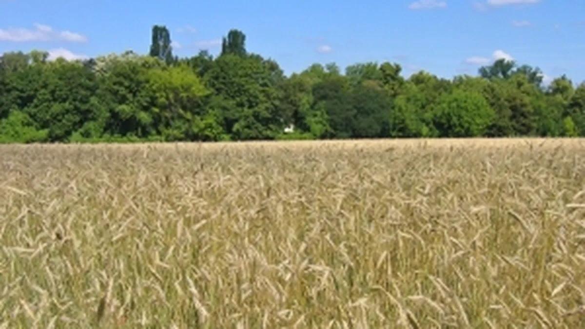 CE: Romania are un an agricol mai bun decat 2010 si peste media ultimilor cinci ani