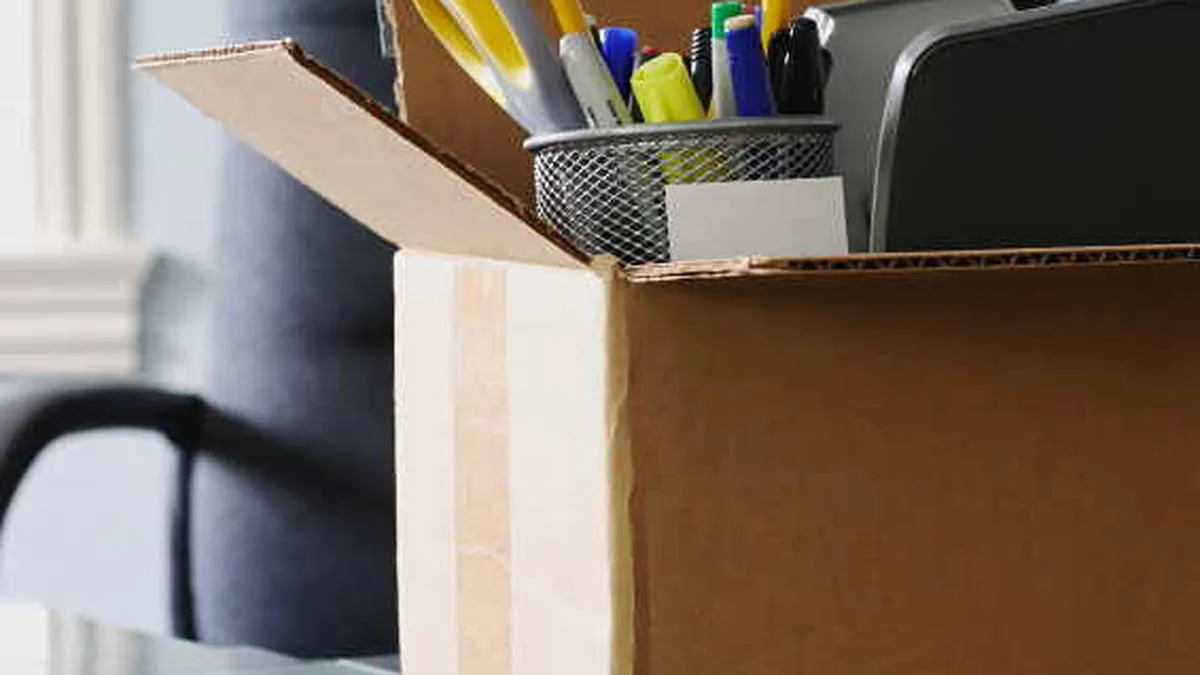 Bilantul concedierilor: Din ce domenii au disparut cei mai multi angajati