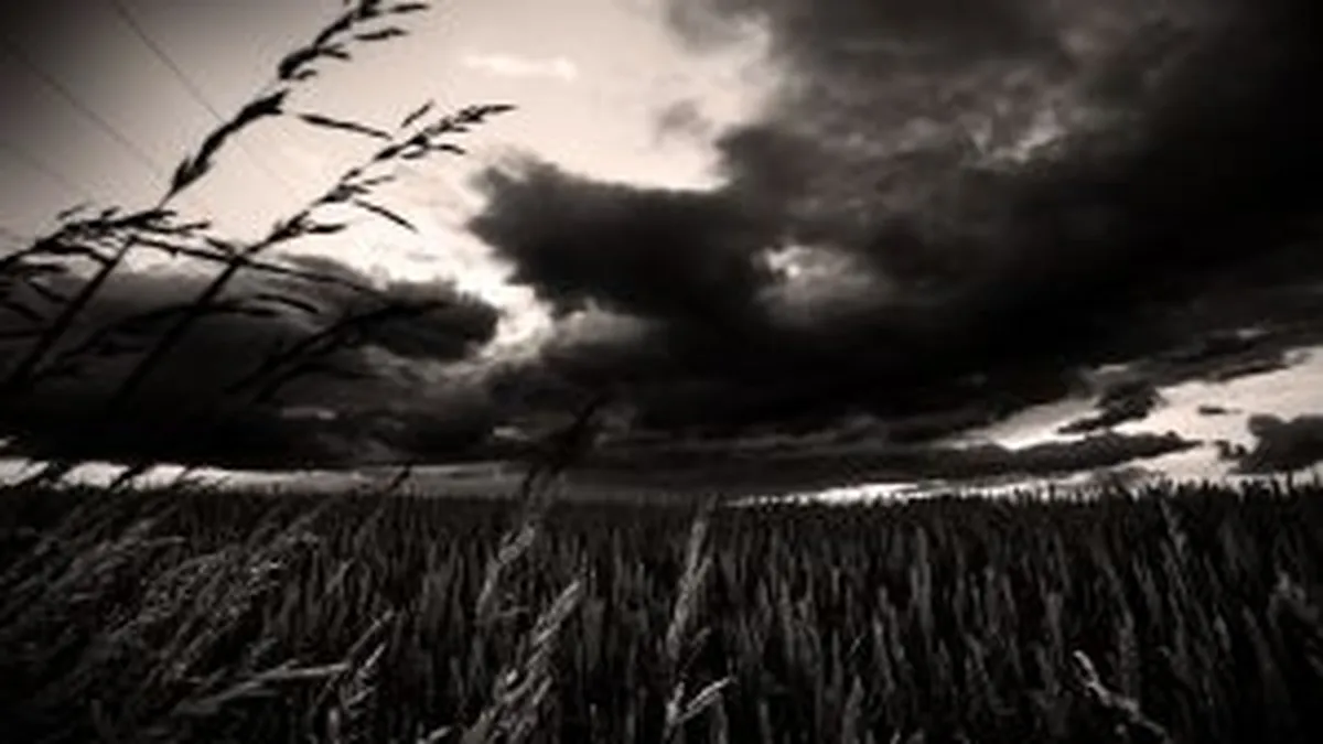 Norii negri din Vest ameninta exporturile romanesti. Ce e de facut