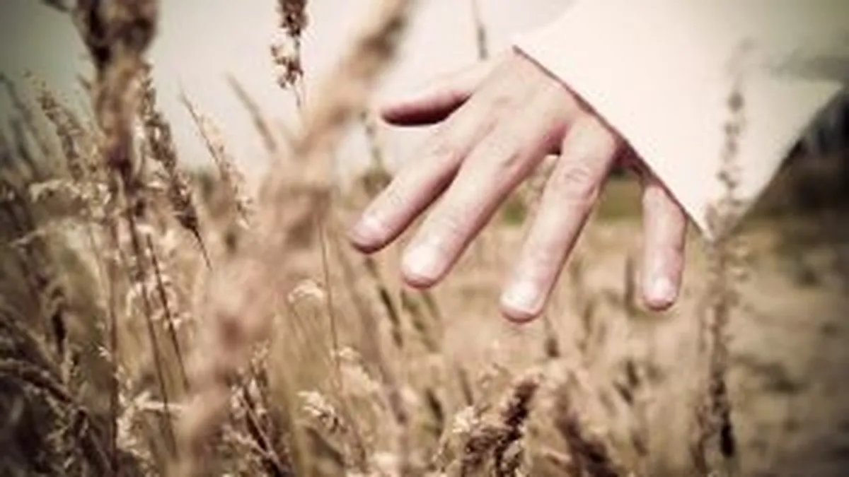 Cum lupta agricultorii cu samsarii si supermarketurile: Ne facem magazinele noastre