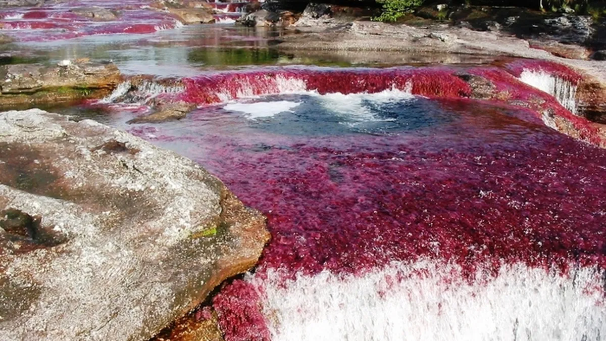 Dunarea, pe lista celor mai frumoase 5 rauri din lume