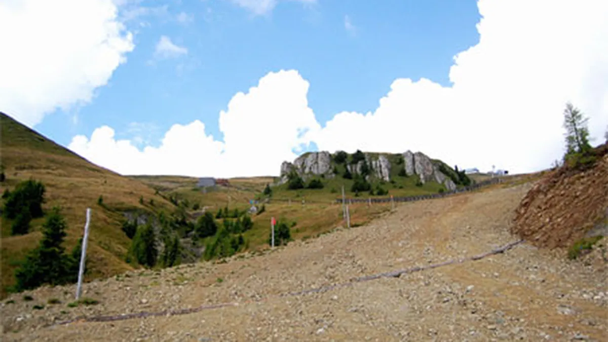 Donatie la cerere: Regele Mihai da statului 4 drumuri forestiere din Sinaia in valoare de 10.000 euro