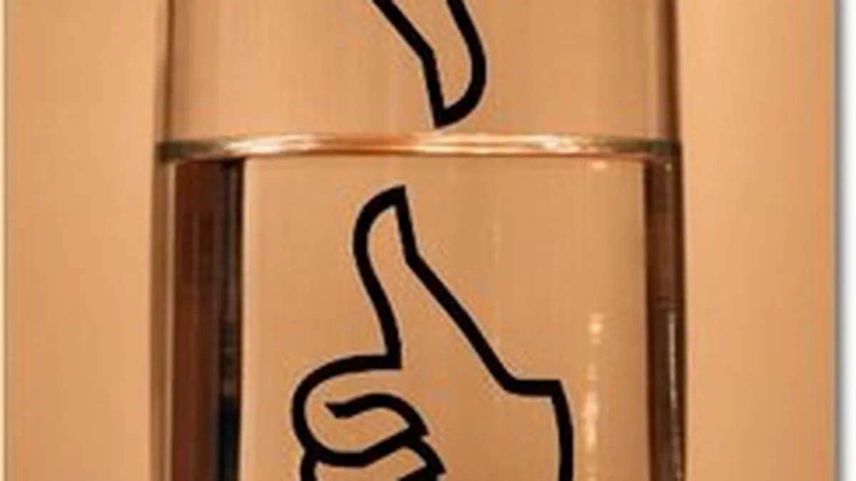 Teoria paharului la Palatul Victoria. Boc ne vede iesiti din recesiune, analistii cred ca ne imbatam cu apa rece