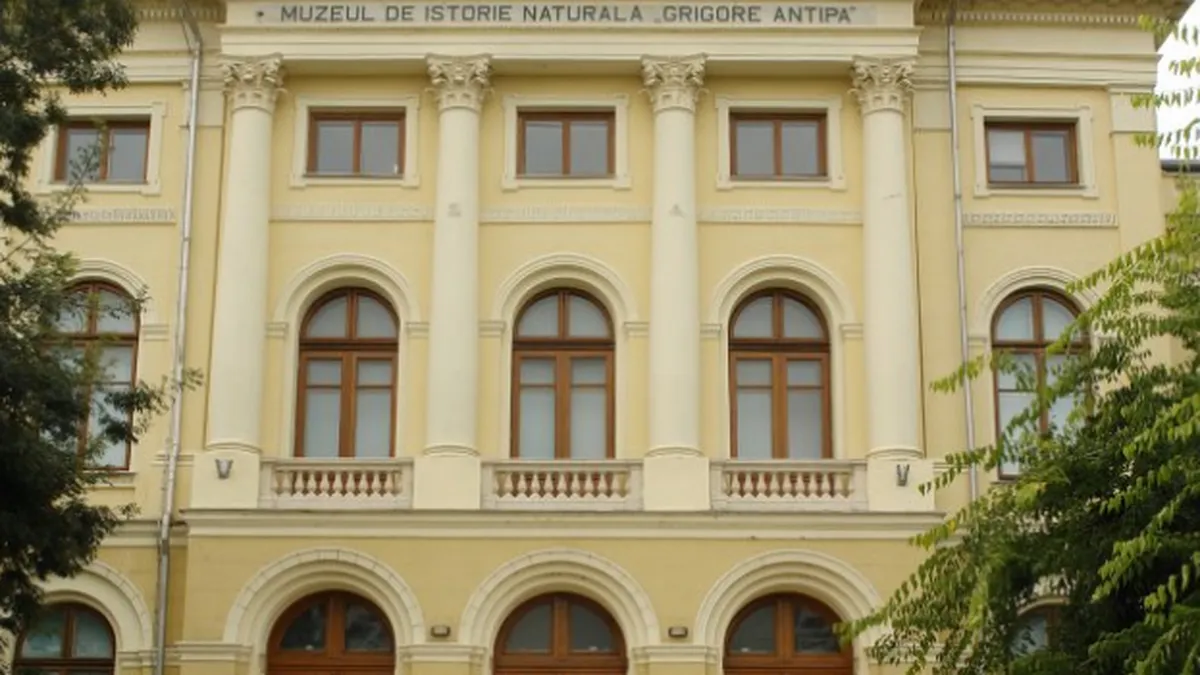Muzeul Antipa se redeschide, dupa o investitie de circa 11 mil. euro