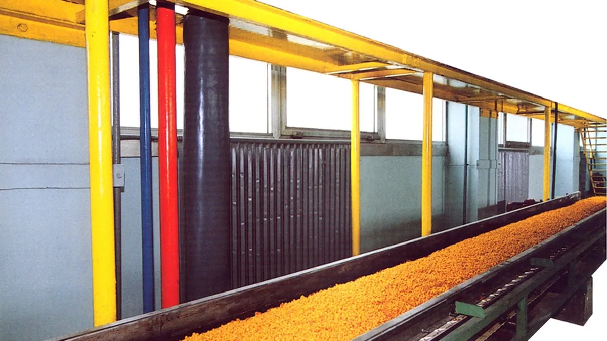 Fulgii de porumb comunisti implinesc 40 de ani. Galerie Foto