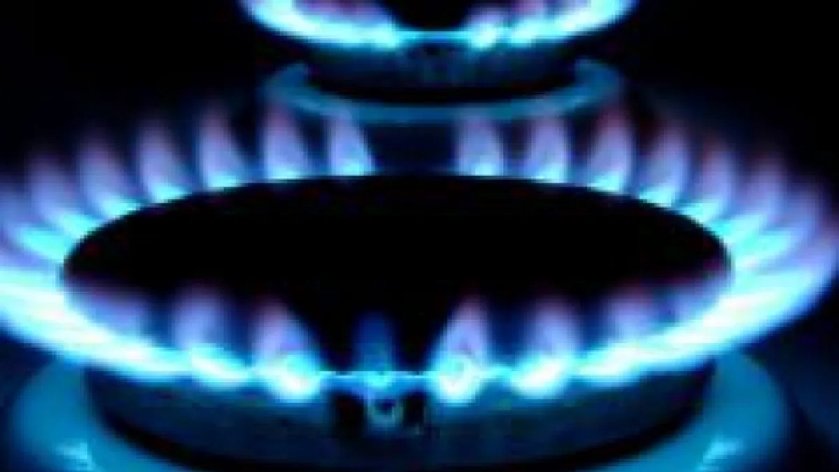 Ariton: Pretul gazelor nu se va majora in aceasta iarna