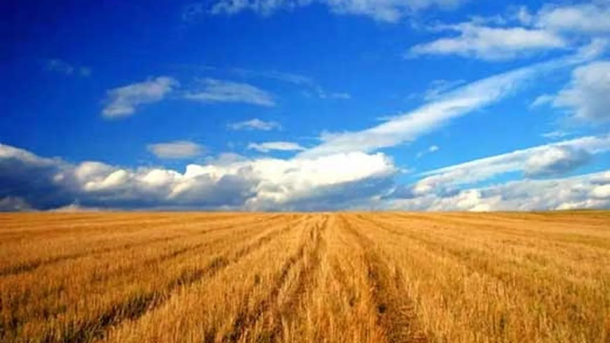 APIA: Fermierii vor primi avansul de 42 euro din SAPS 2011, incepand de saptamana viitoare