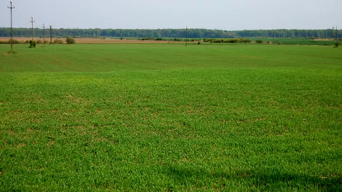 Piata imobiliara prin ochii dezvoltatorilor: Preturile cerute sunt inca prea mari