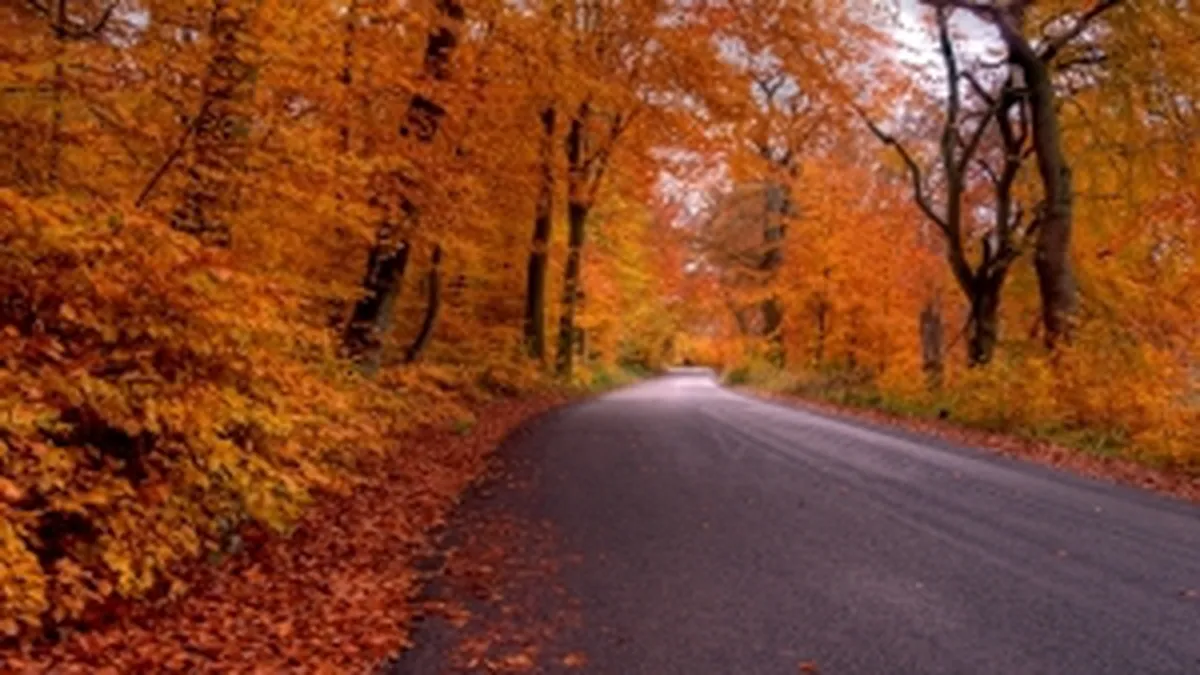 Contract de peste 500 mil. lei pentru reabilitarea unor drumuri din Salaj si Satu Mare