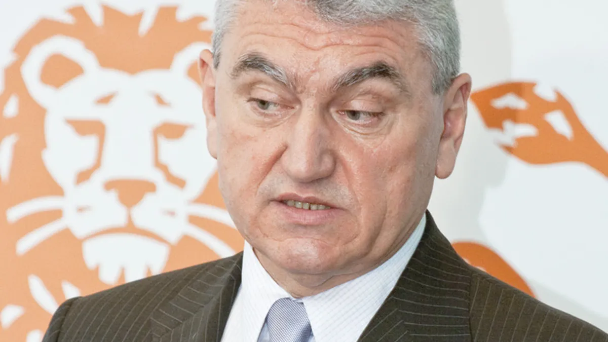 Negritoiu: Euro in 2015, un obiectiv naiv. Romania ar trebui sa renunte la proiect, pentru moment