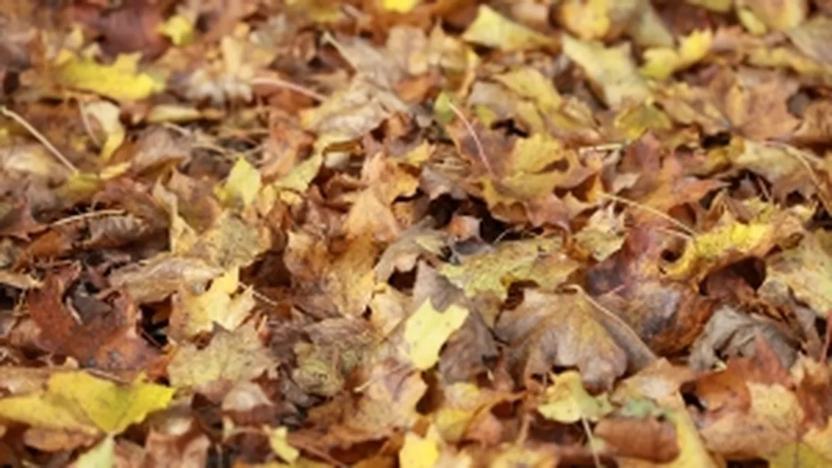 Toamna a readus pesimismul in randul romanilor: Cei mai multi estimeaza inflatie si somaj in crestere