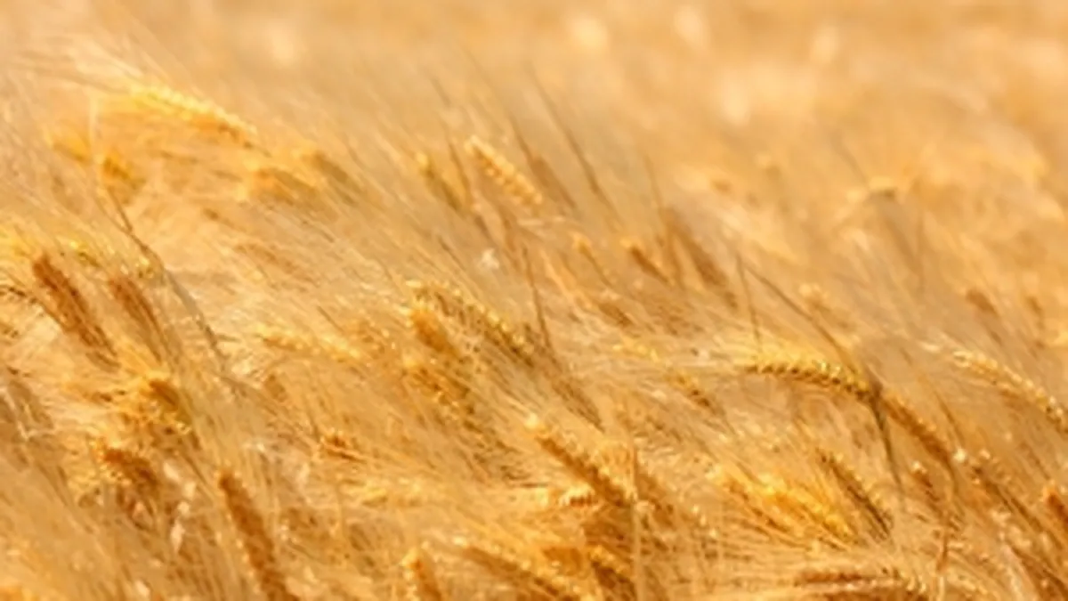 Dezamagit de incasarile din agricultura, Guvernul pregateste o rectificare bugetara negativa