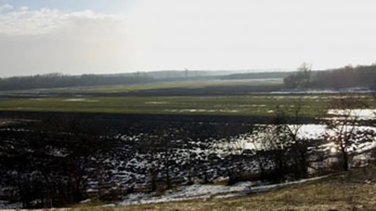 Cine da zeci de milioane de euro pe terenuri in plina criza