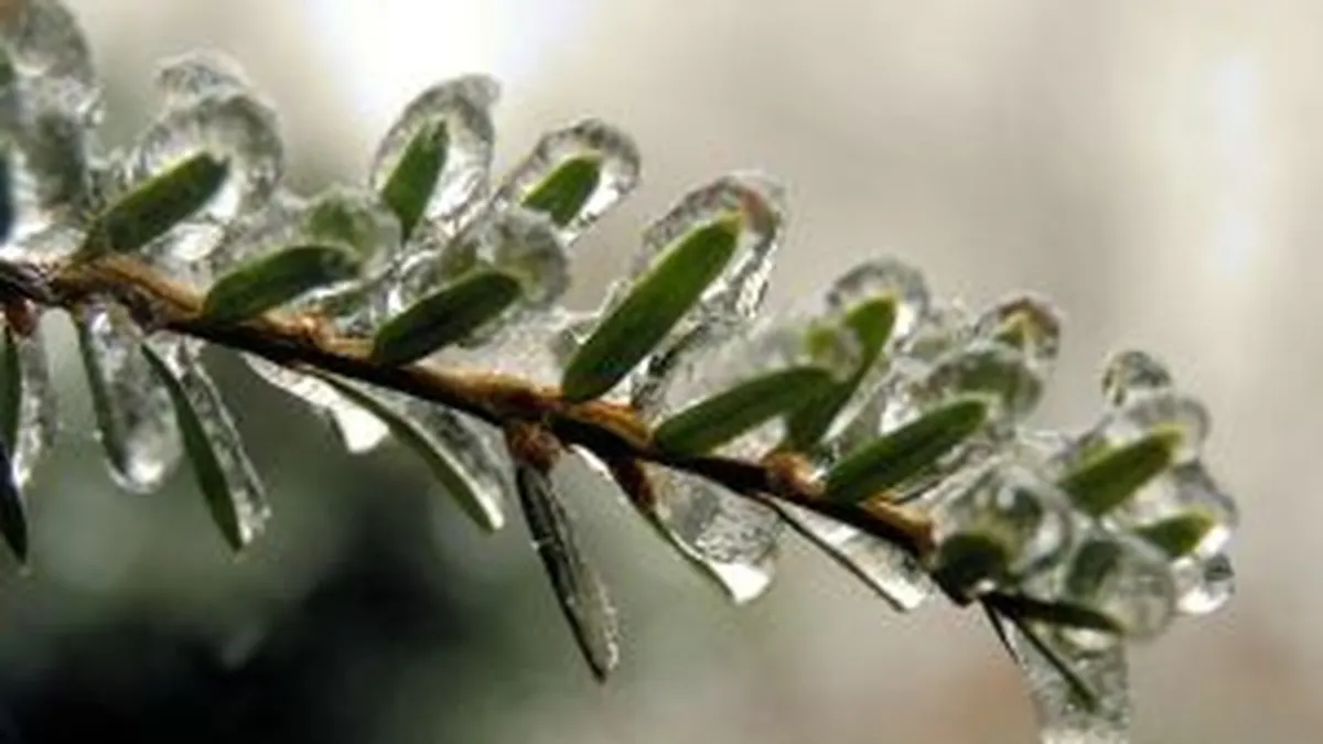 Cine intra mai devreme in vacanta: Industrii care ingheata de sarbatori