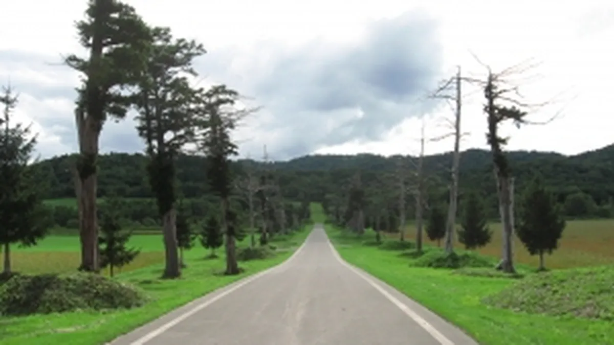 Cati km de drumuri nationale au fost reabilitati in 2011 si care e valoarea reparatiilor