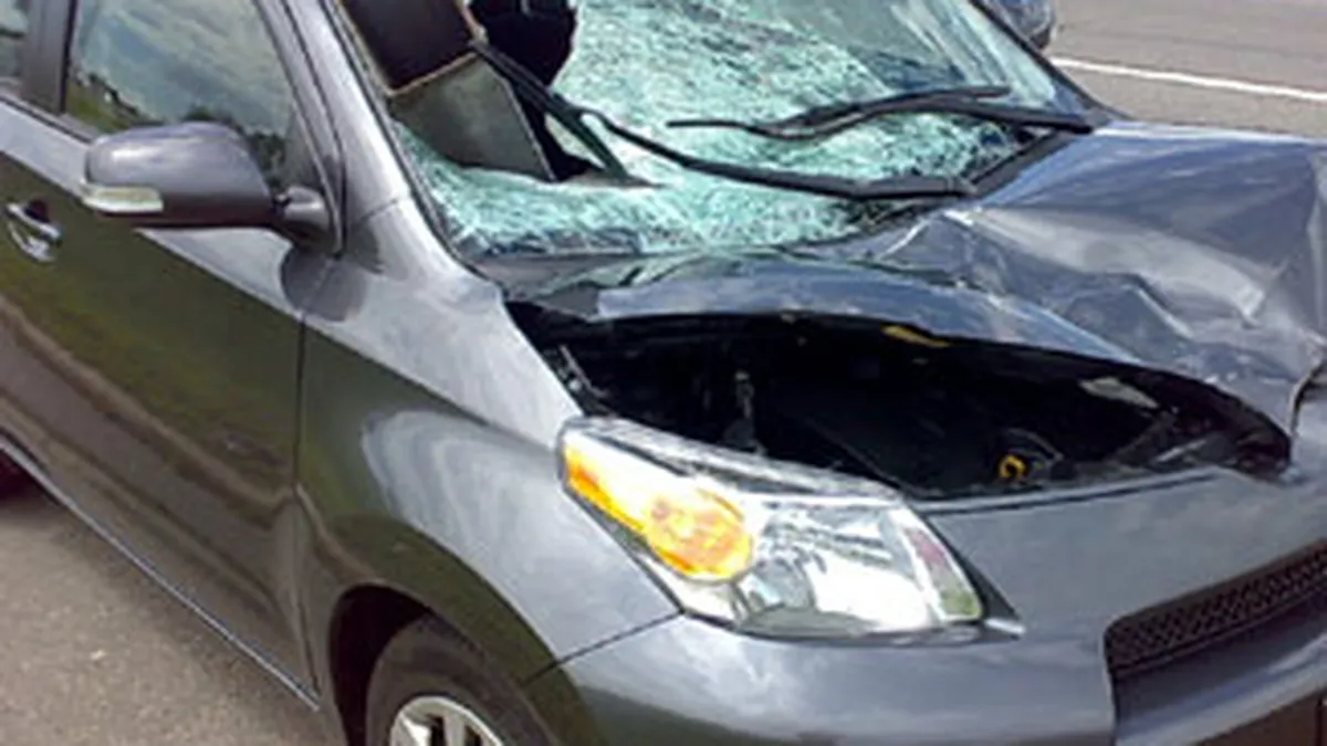 Furtuna puternica in Bucuresti: Copaci cazuti si masini avariate