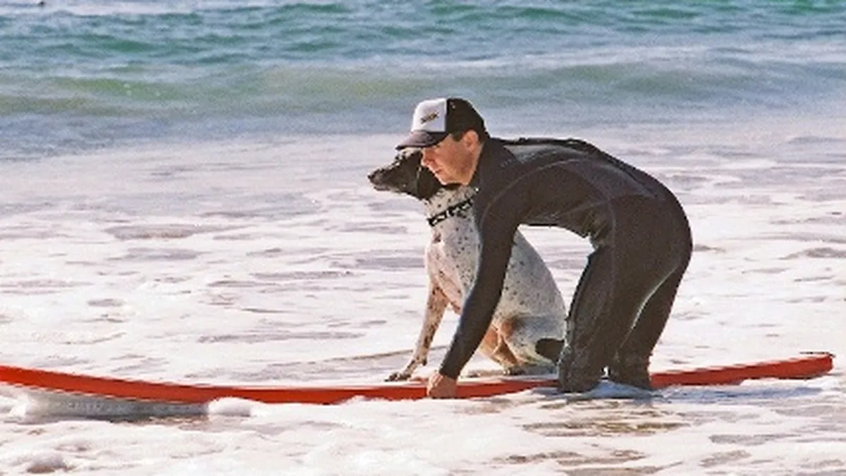 Instructor de surf pentru catei sau specialist in sapunuri. Joburi ciudate in industria hoteliera