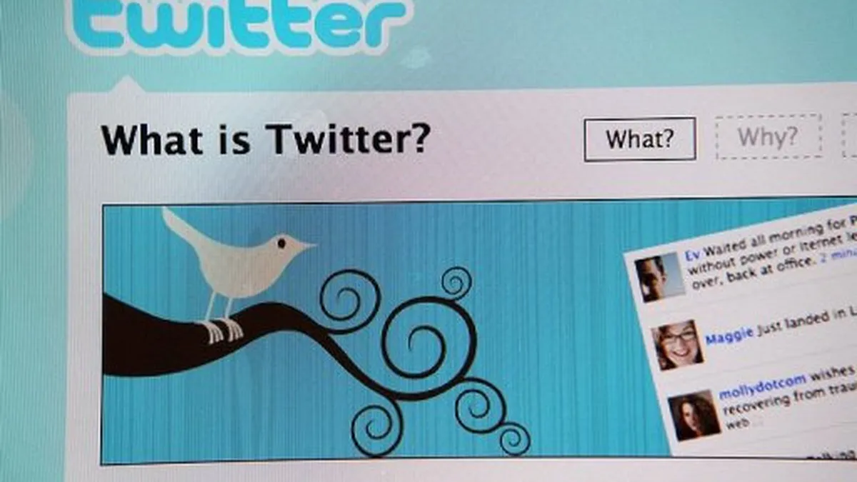 Gigantul Twitter cumpara un startup romanesc