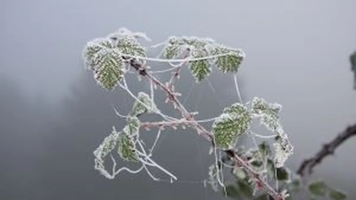 Tabara: Gerul imi da emotii pentru productia agricola din acest an