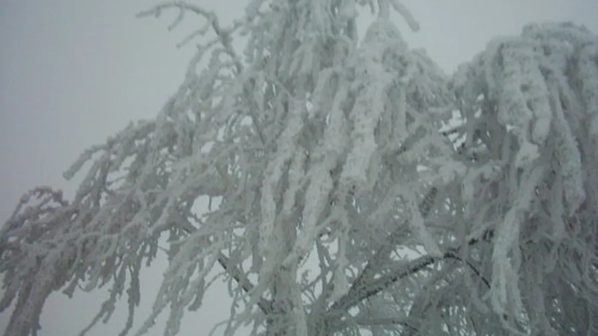 Seful Consiliului Judetean Vrancea vrea sa declare stare de alerta