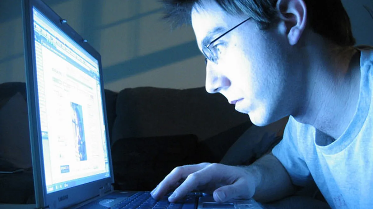 Cum schimba Internetul decizia de cumparare