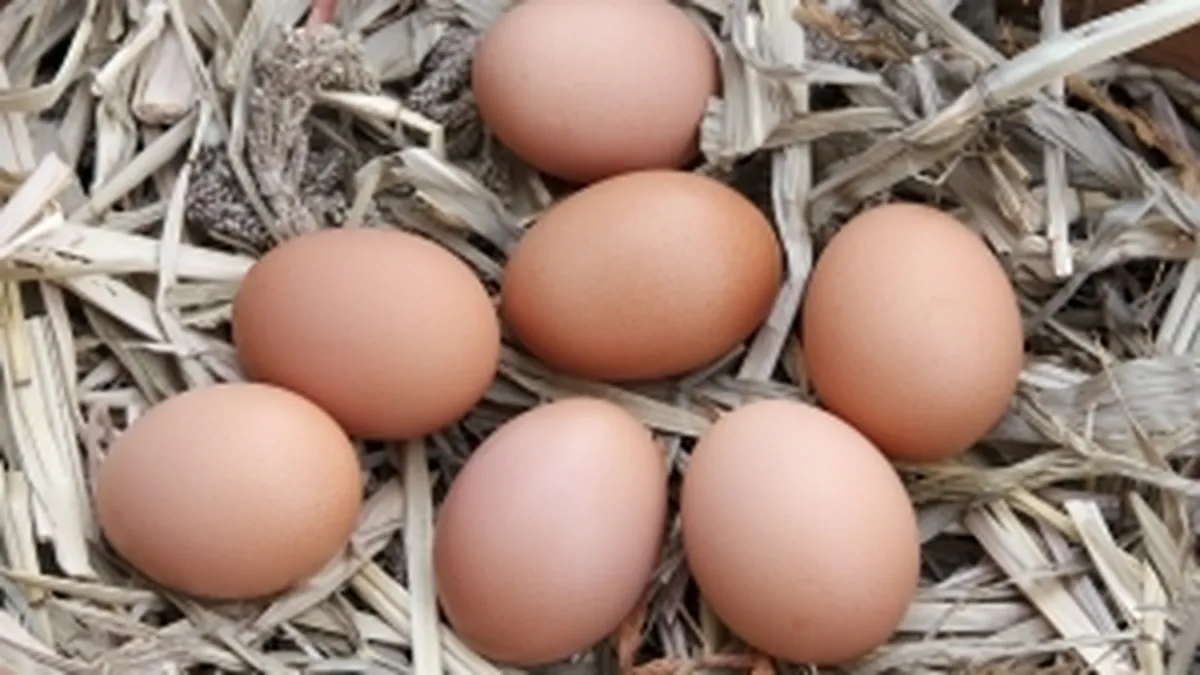 Fiscul scoate la vanzare 330.000 oua confiscate