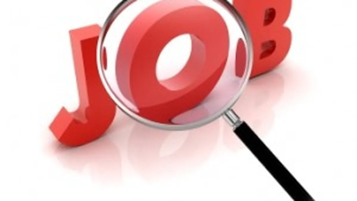 Meserii pretioase: Ce posturi se chinuie angajatorii cel mai mult sa ocupe