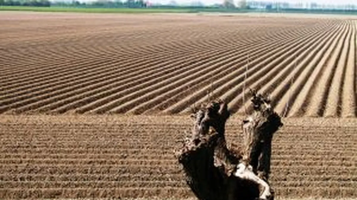 Sansele de a bloca vanzarea terenurilor catre straini dupa 2013, aproape de zero