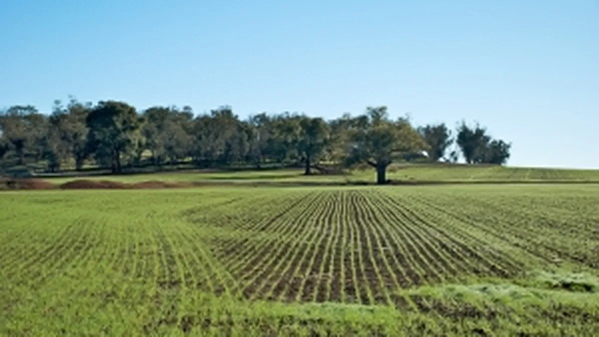 De ce ar putea avea Romania un an agricol mai greu