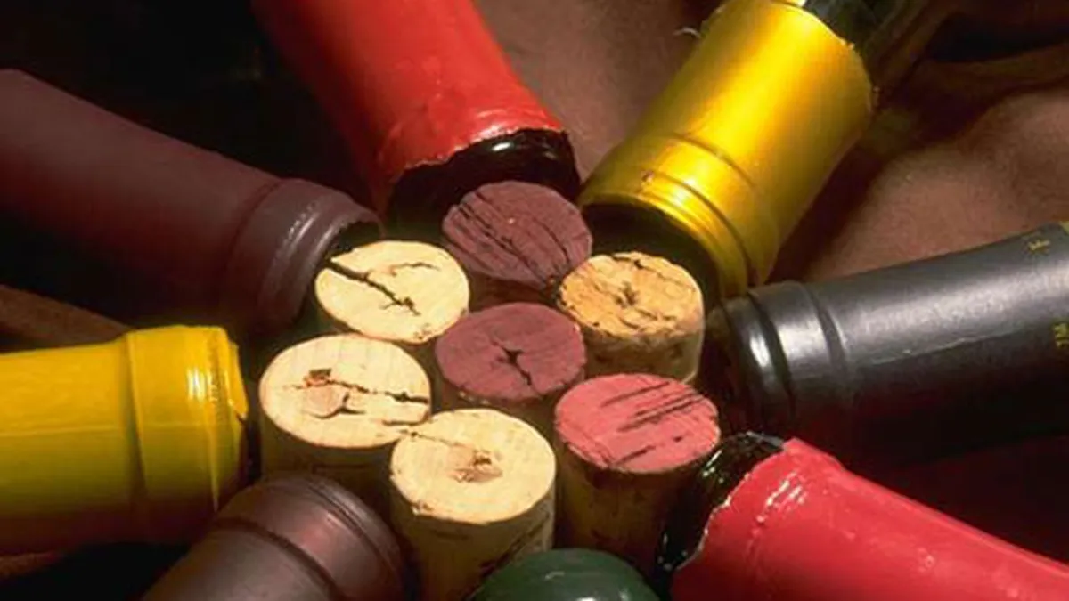 Cati bani investesc strainii in podgoriile premium