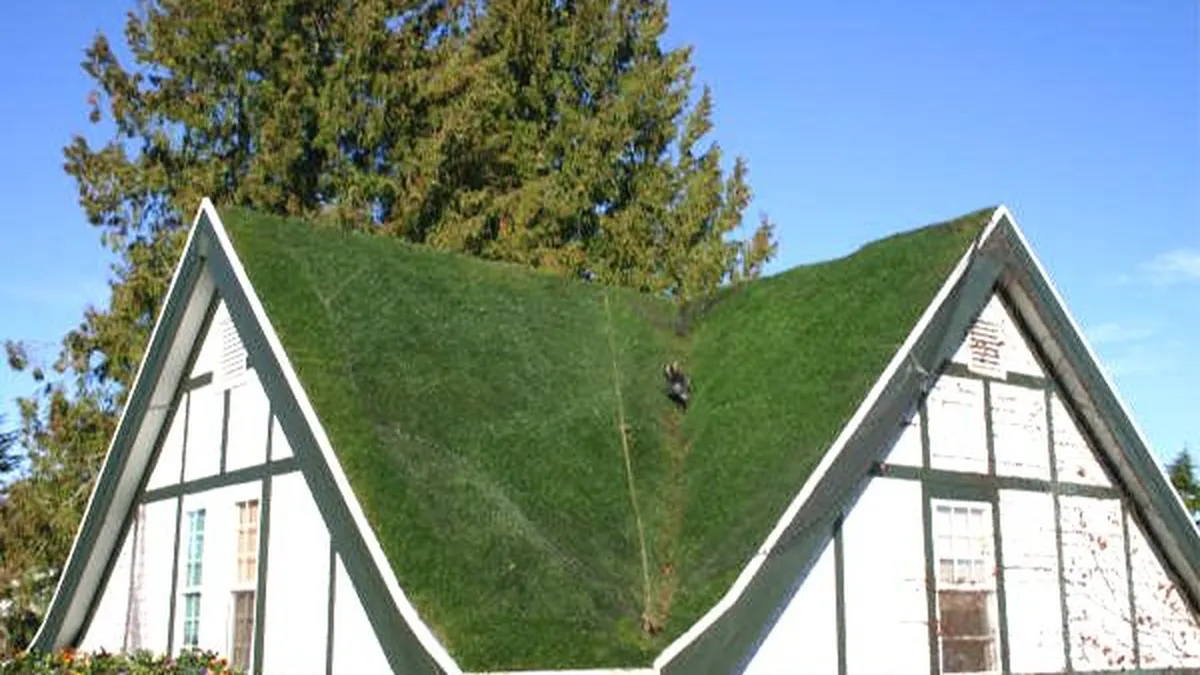 Acoperisuri verzi, facturi mai mici?