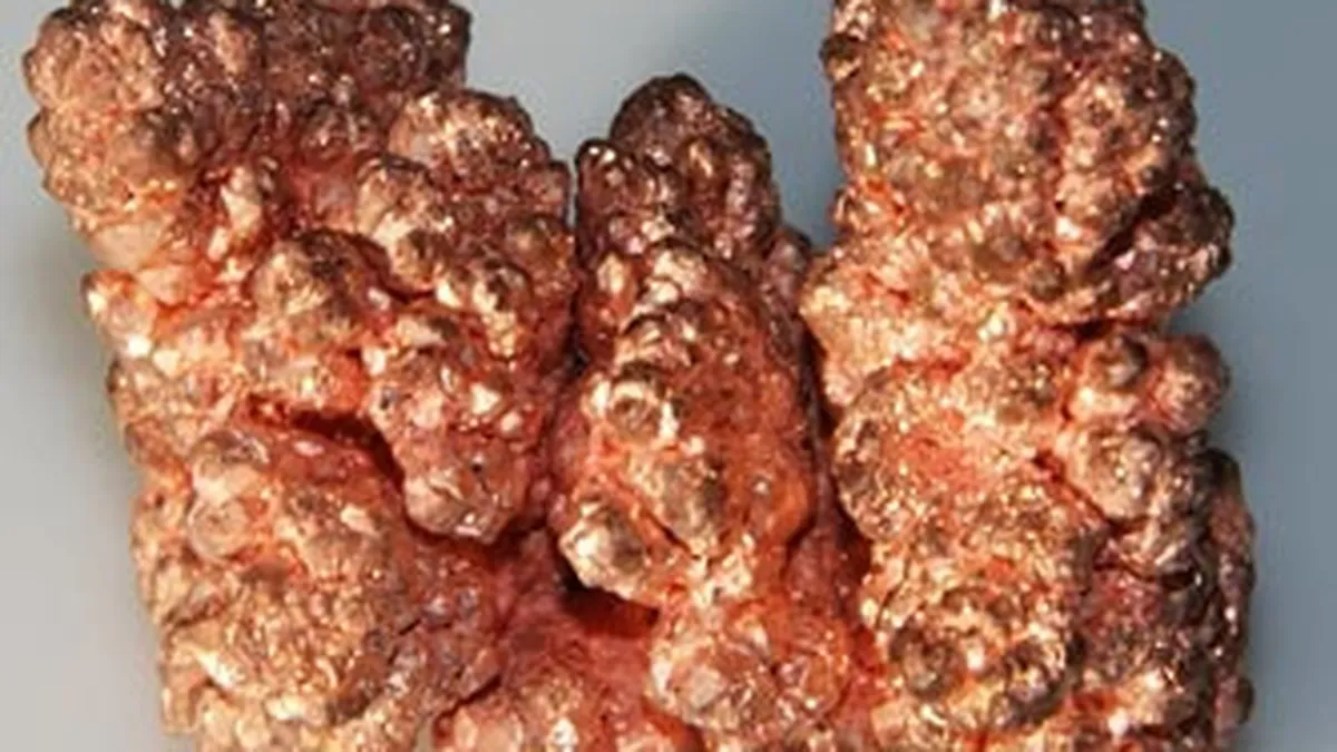 Cupru Min, privatizat la un pret de 4 ori mai mare decat cel de pornire