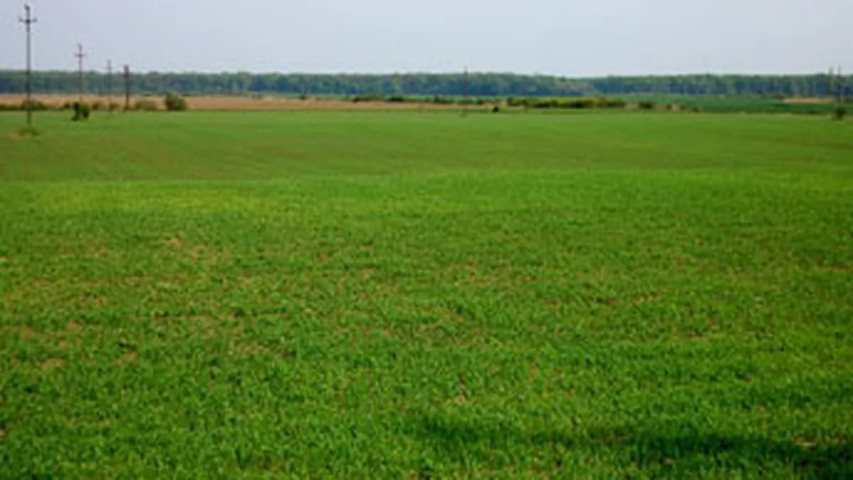 APIA ar putea ramane fara o parte din cei 5.500 de angajati