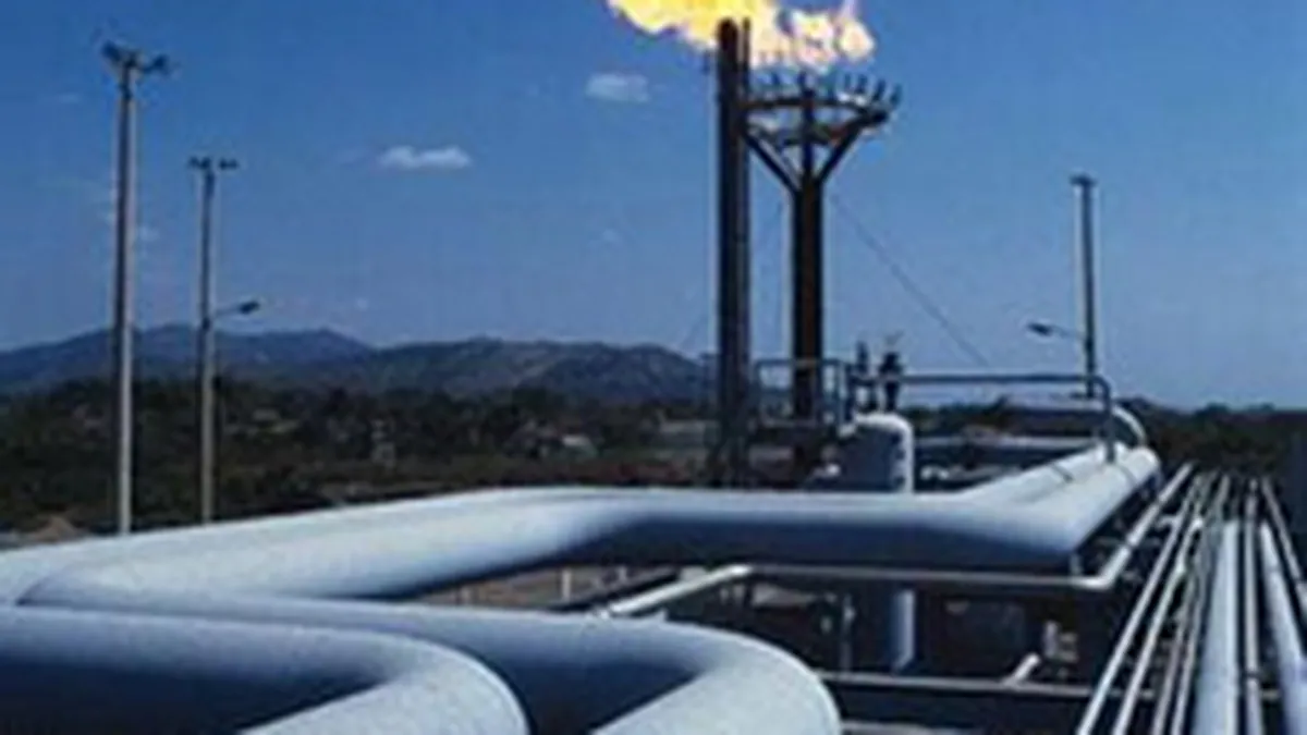 Consumul de gaze a scazut cu peste 7% in prima luna a anului