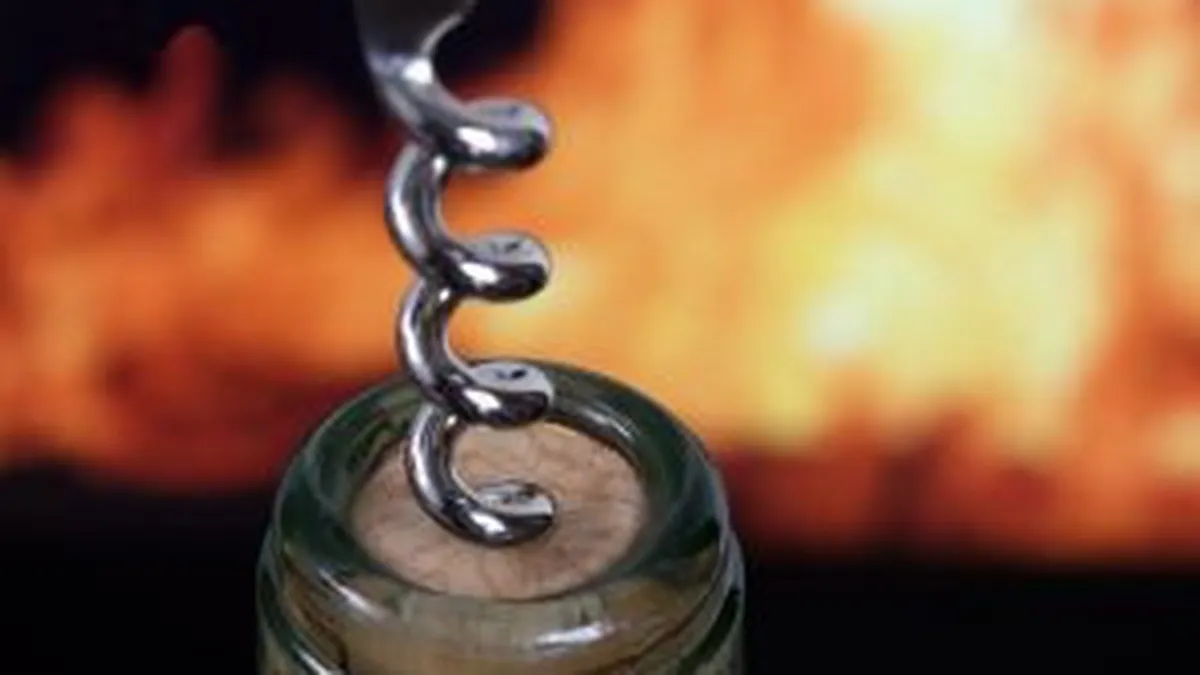 Cum fac fermierii romani bani din turismul viticol