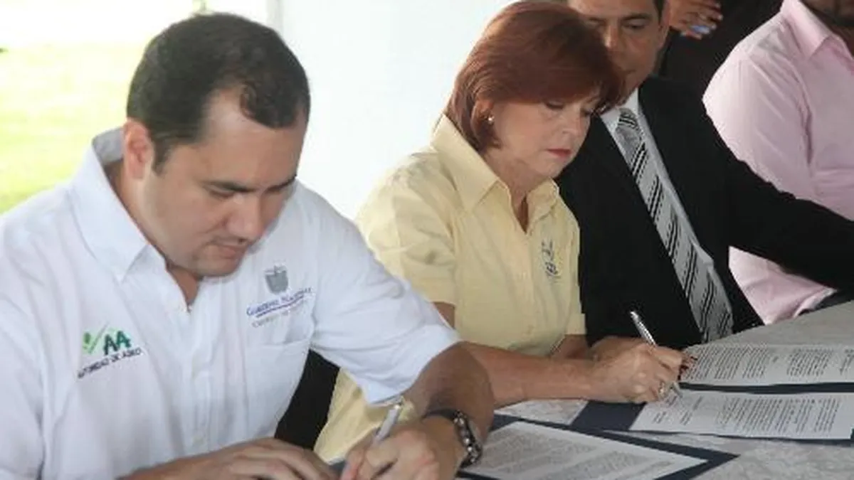 Peste 20.000 de persoane au fost consiliate pentru obtinerea unui loc de munca prin POSDRU