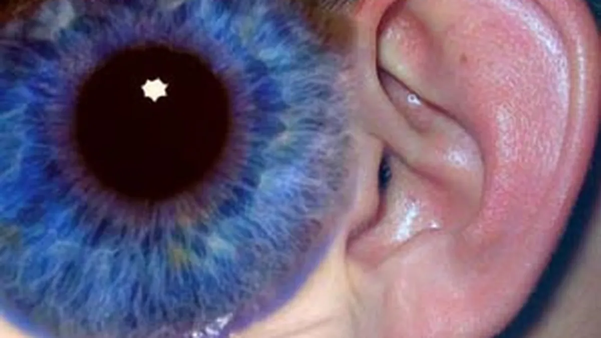 Mai ceva ca pe vremea Securitatii. Cum ne vor urmari organele telefoanele si mail-urile