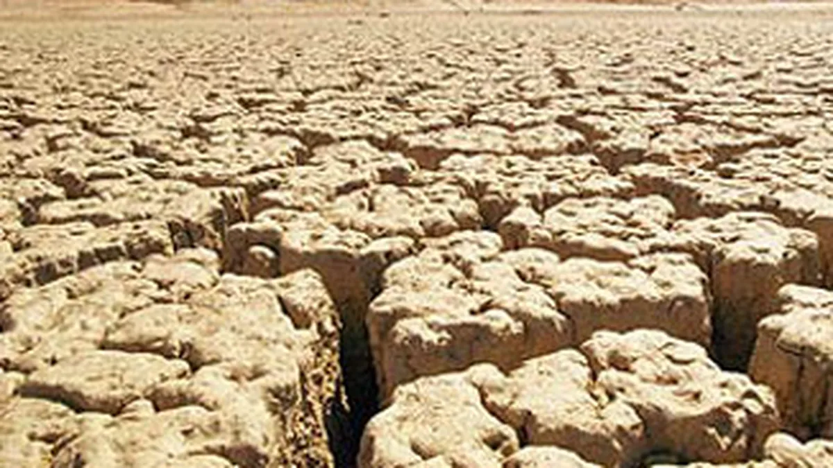 ONU: Seceta din SUA si China ar putea afecta pretul cerealelor