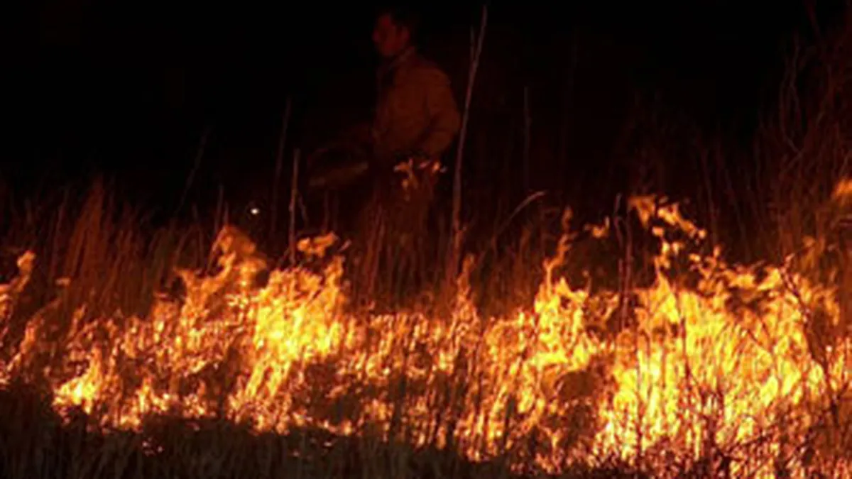 Incendii in 10 judete. Peste 115 hectare afectate