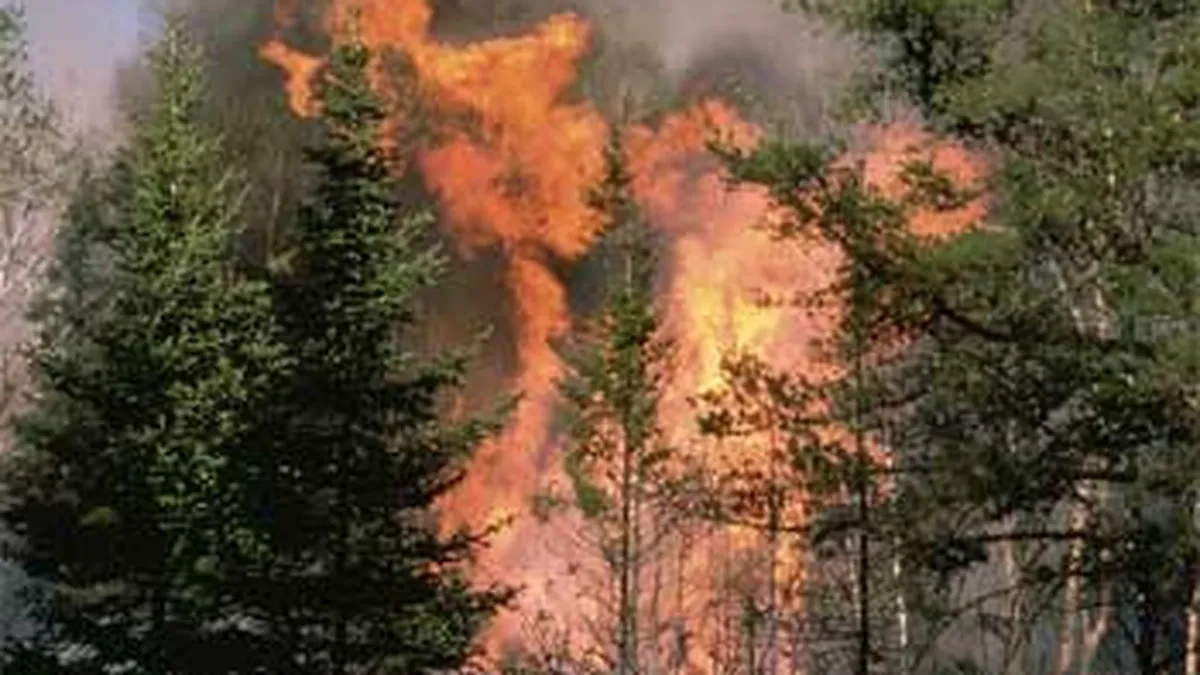 Bugetul MAI, suplimentat de Guvern pentru reparatia elicopterelor destinate calamitatilor