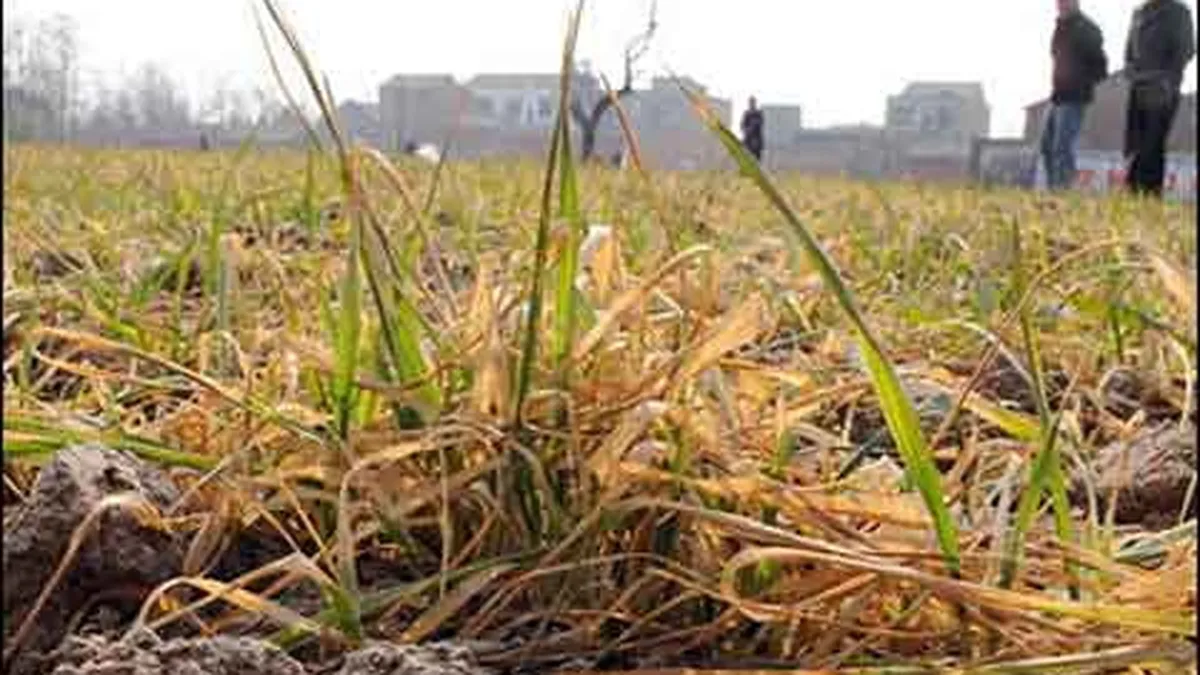 Urmeaza inca 2 luni de canicula si seceta in Romania