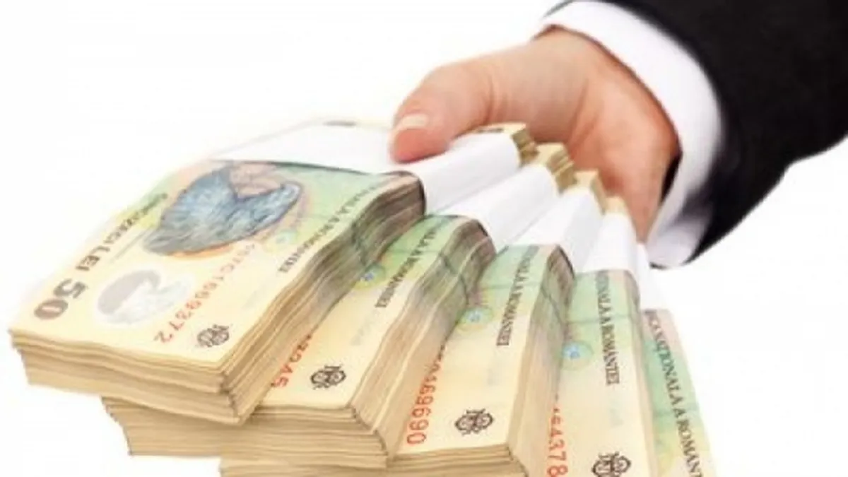 BNR a imprumutat 10 banci cu 6 mld. lei. Cererea a fost de 2,5 ori mai mare