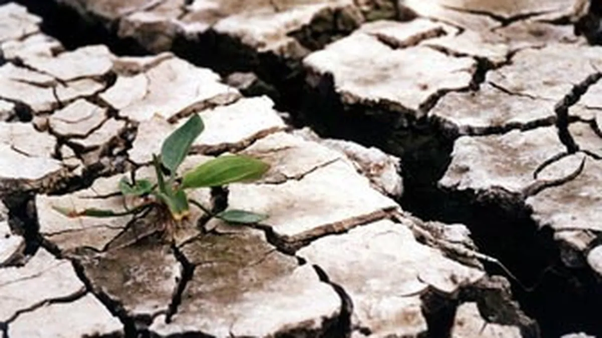 Culmile incompetentei: Dam apa ungurilor, ogoarele noastre crapa de sete