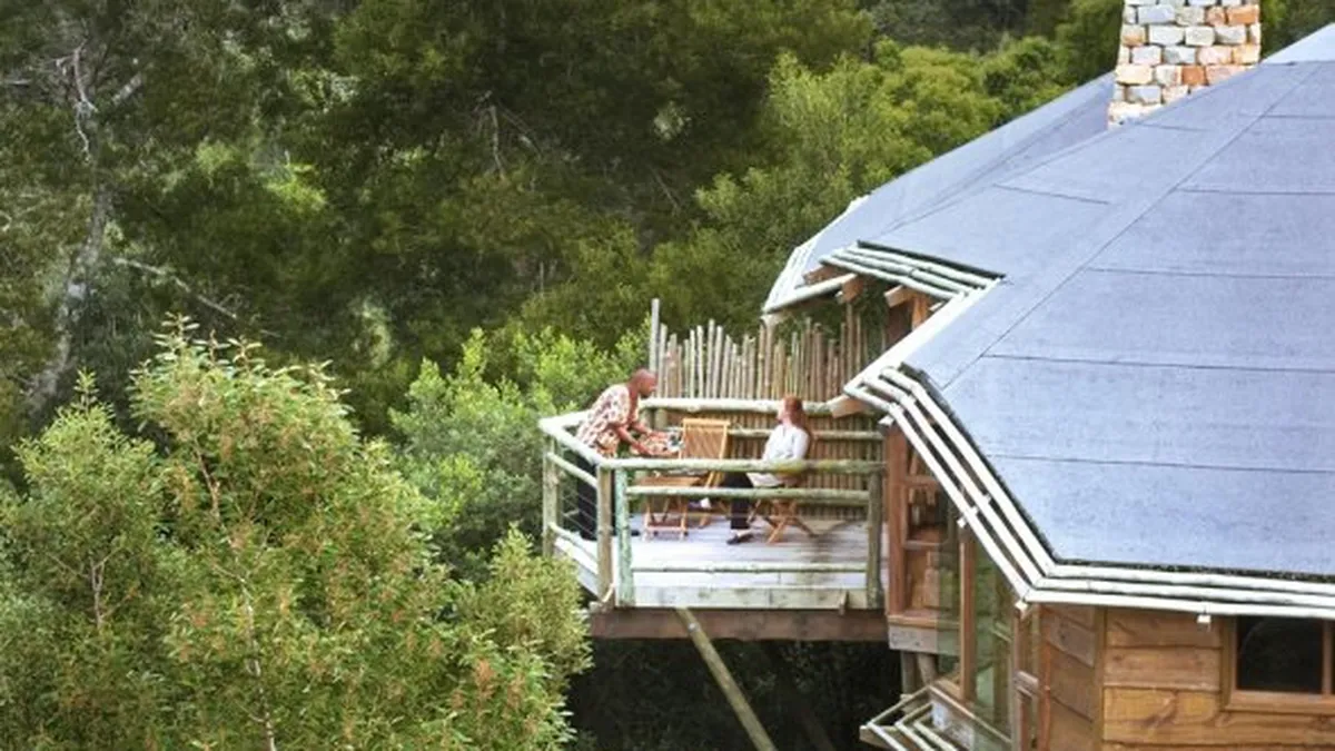 Hotelurile din copaci, ultimul trend in turismul de lux (Galerie Foto)