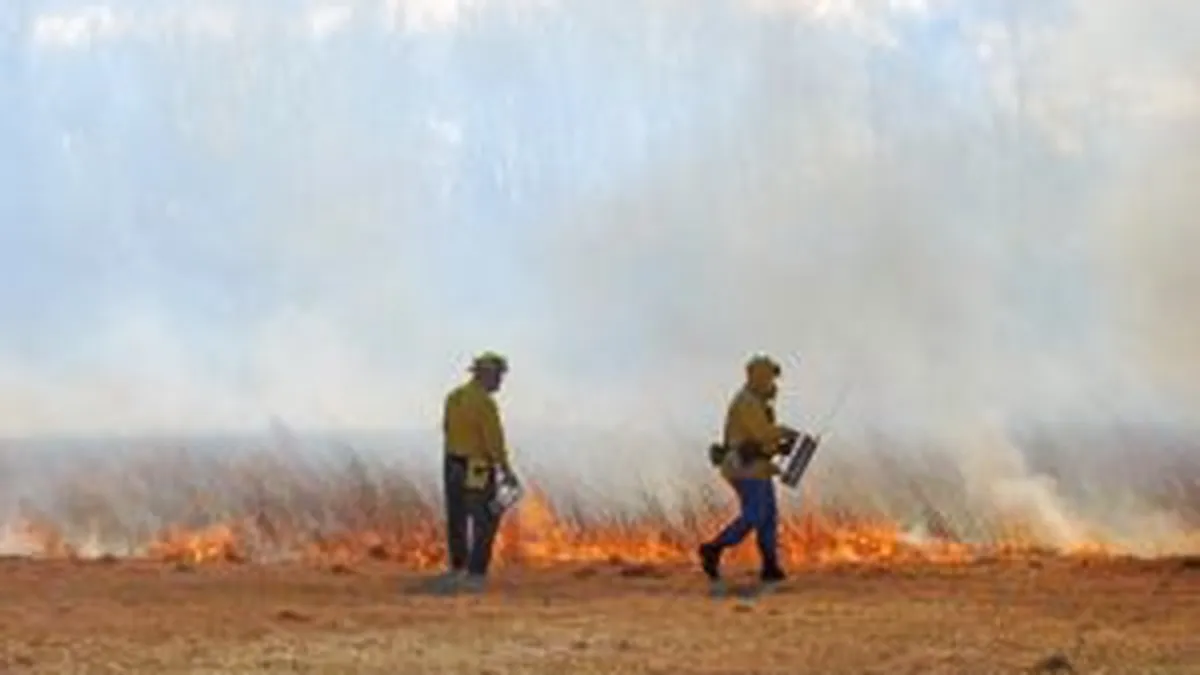 Incendii in 35 de judete: Peste 950 de hectare afectate